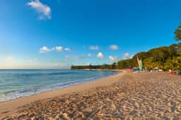 Sandy Lane - Casuari