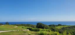 The Vacation Haven