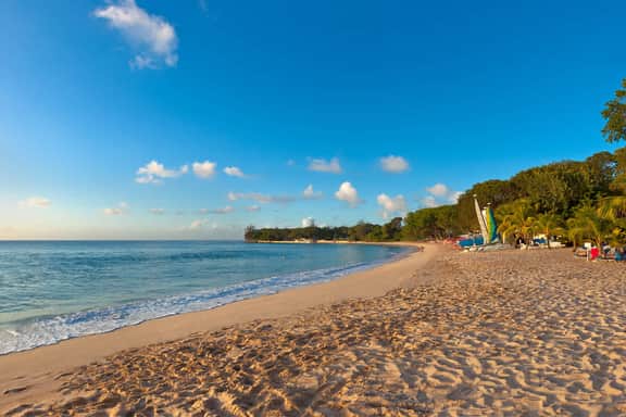 Sandy Lane - Casuari
